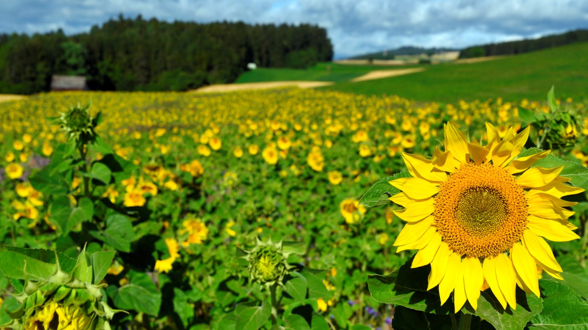 Einzigartige, unberührte Natur