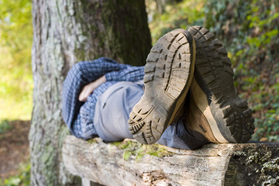 Wandern und Rasten im Hochschwarzwald