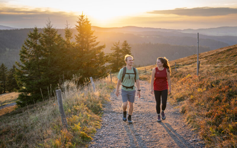 🍁 Goldene Herbstwege – Wandertage in der Linde 🍁